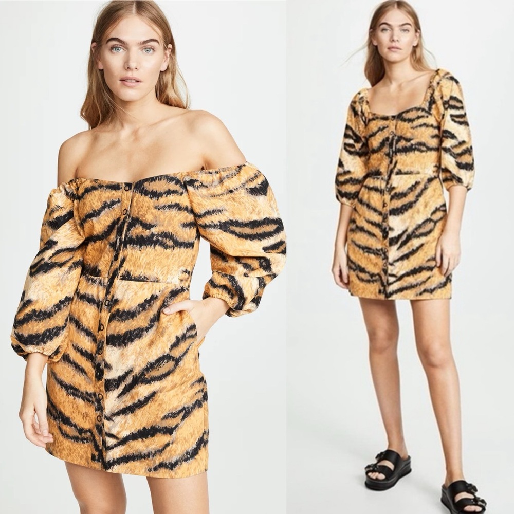 Hofmann Copenhagen Tiger Stripe Animal‎ Print Aline Mini Dress $313 Size 36 US 6
